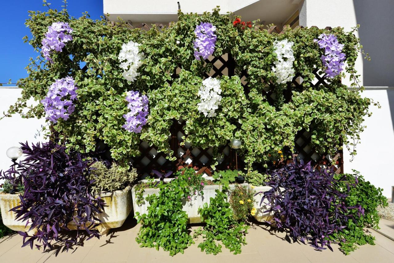 Apartment Lavender فير المظهر الخارجي الصورة