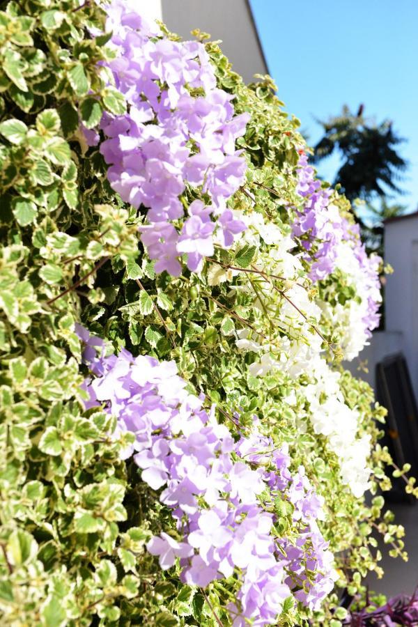 Apartment Lavender فير المظهر الخارجي الصورة